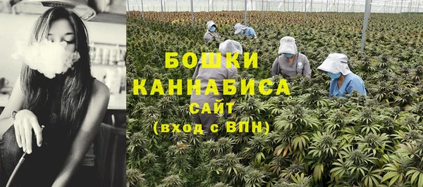каннабис Майский