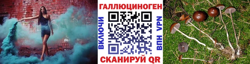 KRAKEN как войти  Приволжский  Псилоцибиновые грибы GOLDEN TEACHER 